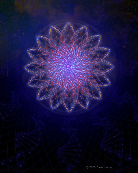 Sacred Lotus, by Dave Hunter (Gammalyte)