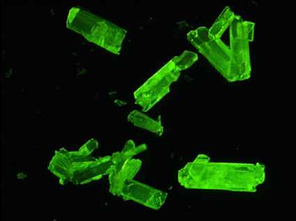 ibogaine HCl crystals 16